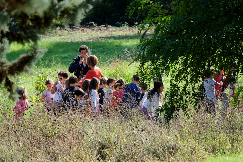 Una classe nell’orto della scuola primaria Longhena di Bologna, anno scolastico 2015-2016. - Fabio Campo